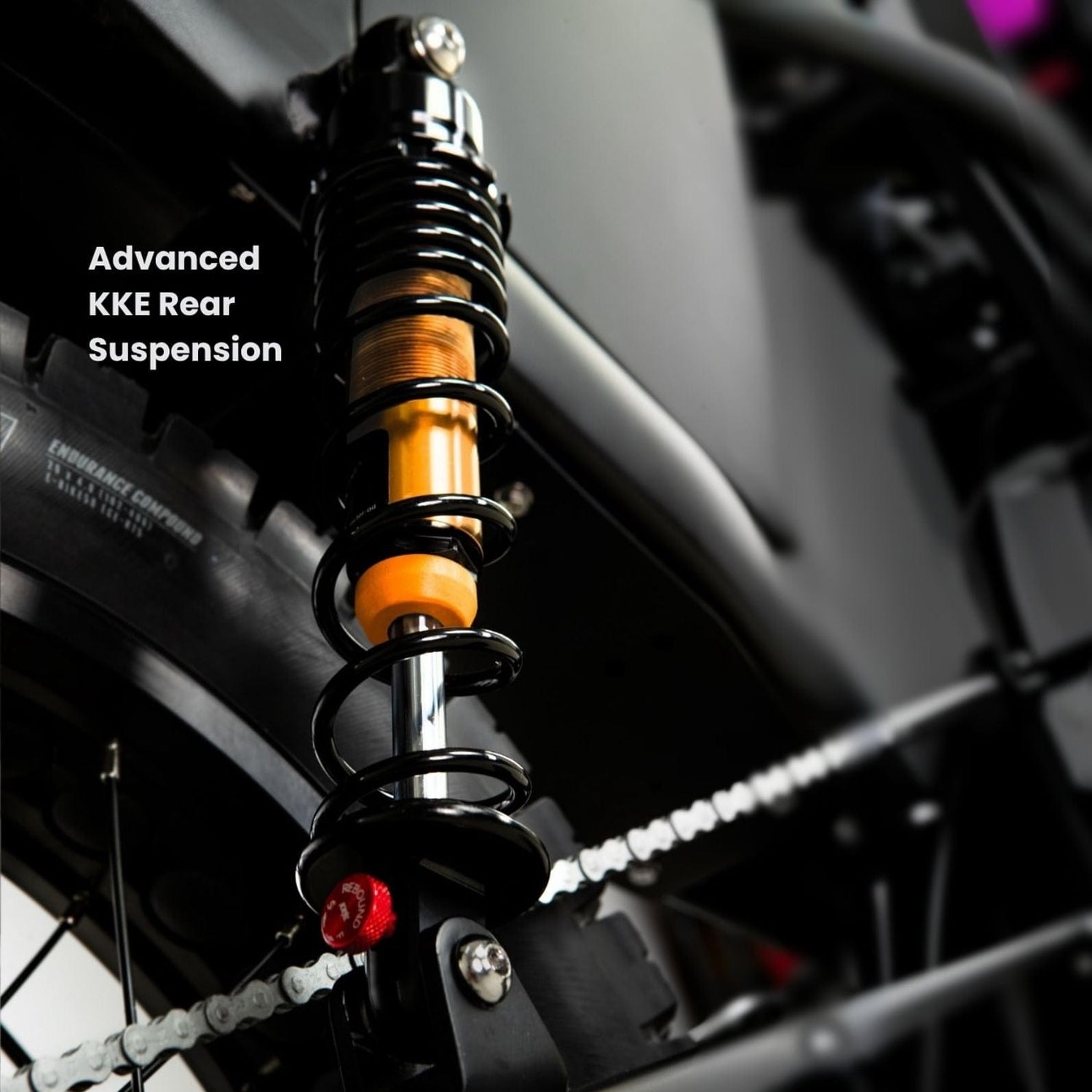 DiroDi Bicycles DiroDi Rover Pro - 250/500W