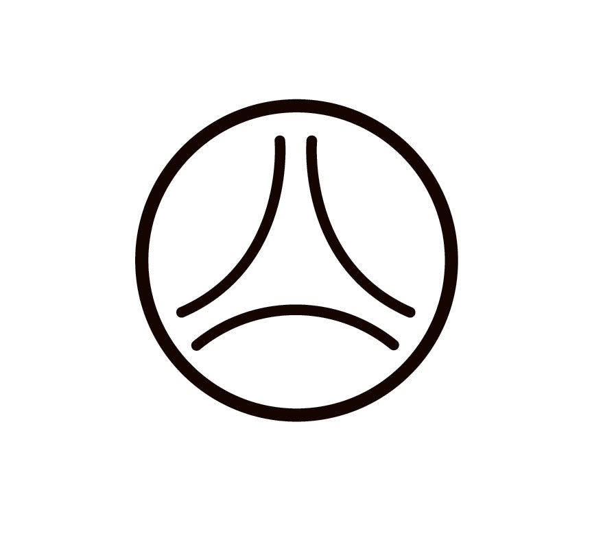 MASE Airbag Protection