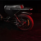 DiroDi Bicycles DiroDi Rover Pro - 250/500W