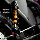 DiroDi Bicycles DiroDi Rover Pro - 250/500W