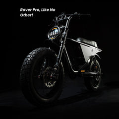 DiroDi Bicycles DiroDi Rover Pro - 250/500W