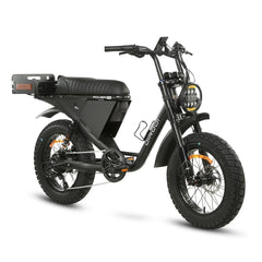 DiroDi Bicycles Jet Black / Step-Thru / 1000W DiroDi Rover Pro