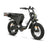 DiroDi Bicycles Jet Black / Step-Thru / 1000W DiroDi Rover Pro