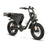 DiroDi Bicycles Jet Black / Step-Thru / 250/500W DiroDi Rover Pro - 250/500W