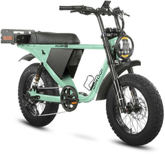 DiroDi Bicycles Racing Green / Step-Thru / 1000W DiroDi Rover Pro