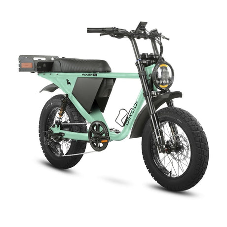 DiroDi Bicycles Seafoam Green / Step-Over / 250/500W DiroDi Rover Pro - 250/500W