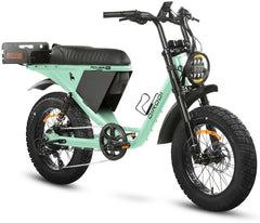 DiroDi Bicycles Seafoam Green / Step-Thru / 1000W DiroDi Rover Pro