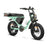 DiroDi Bicycles Seafoam Green / Step-Thru / 250/500W DiroDi Rover Pro - 250/500W
