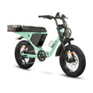 DiroDi Bicycles Seafoam Green / Step-Thru / 250/500W DiroDi Rover Pro - 250/500W
